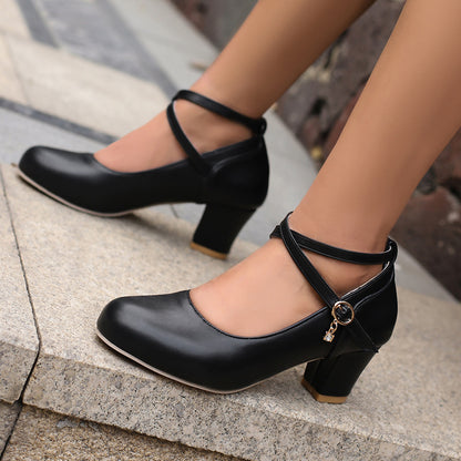 Chunky Heel High Heel Shoes Mary Jane Shoes Work Shoes